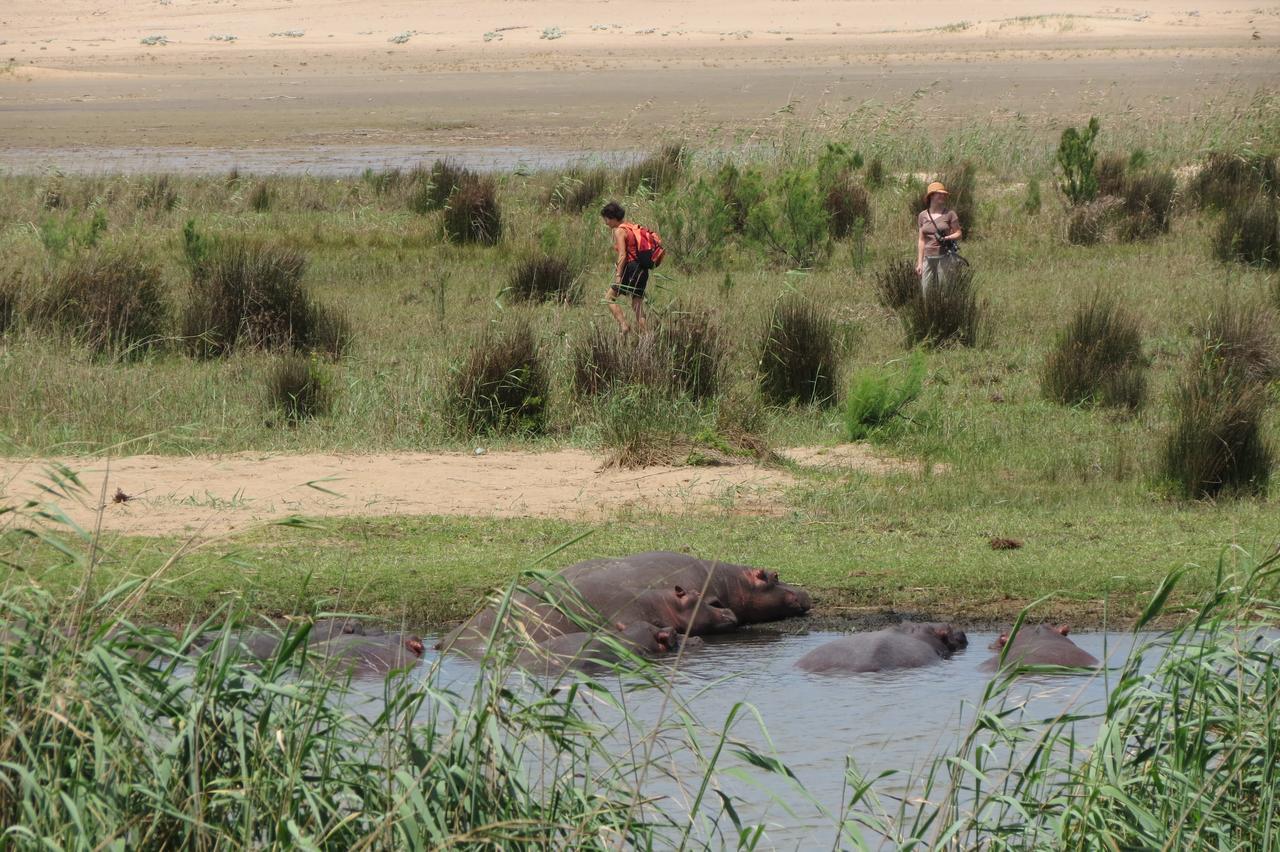 Lodge Afrique Saint Lucia Estuary 외부 사진
