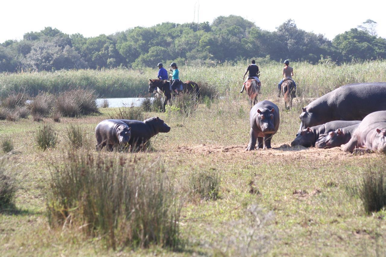 Lodge Afrique Saint Lucia Estuary 외부 사진