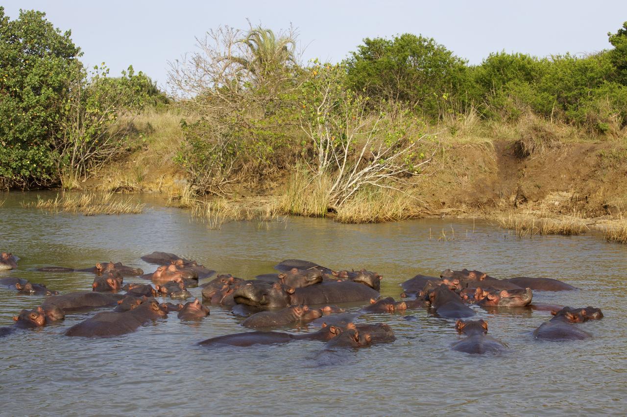 Lodge Afrique Saint Lucia Estuary 외부 사진