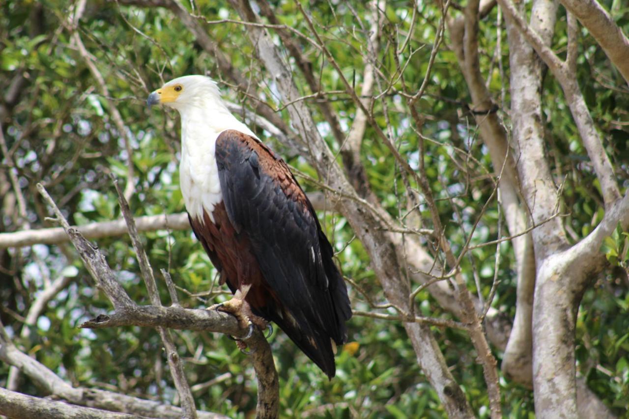 Lodge Afrique Saint Lucia Estuary 외부 사진